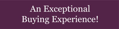 Picture of Berkshire Hathaway 6"x24" Rider - An Exceptional Buying Experience - Copy