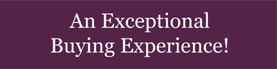Picture of Berkshire Hathaway 6"x24" Rider - An Exceptional Buying Experience - Copy
